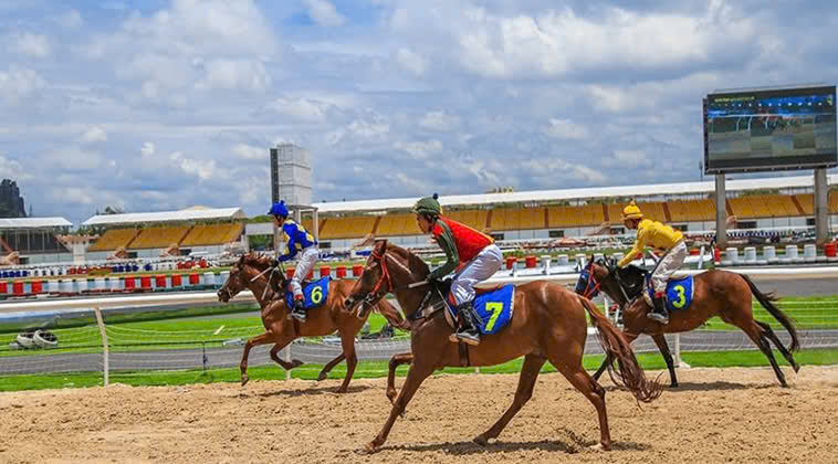 Tìm Hiểu Đua Ngựa i9Bet: Bí Mật Thắng Lớn Chờ Bạn Khám Phá!